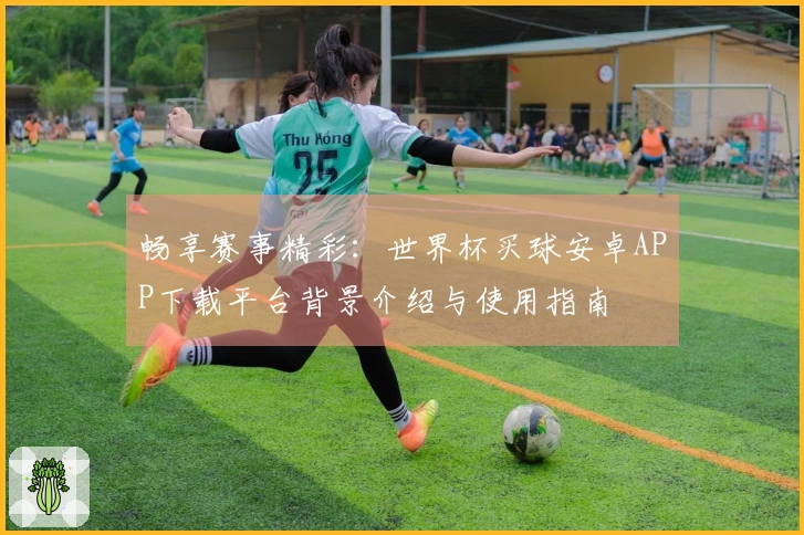 畅享赛事精彩：世界杯买球安卓APP下载平台背景介绍与使用指南