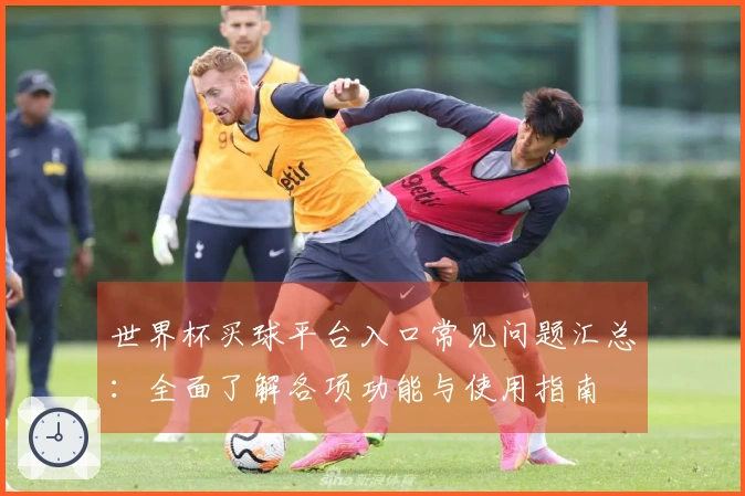 世界杯买球平台入口常见问题汇总：全面了解各项功能与使用指南