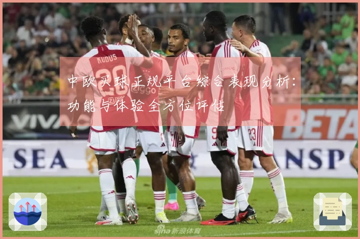 中欧买球正规平台综合表现分析：功能与体验全方位评估