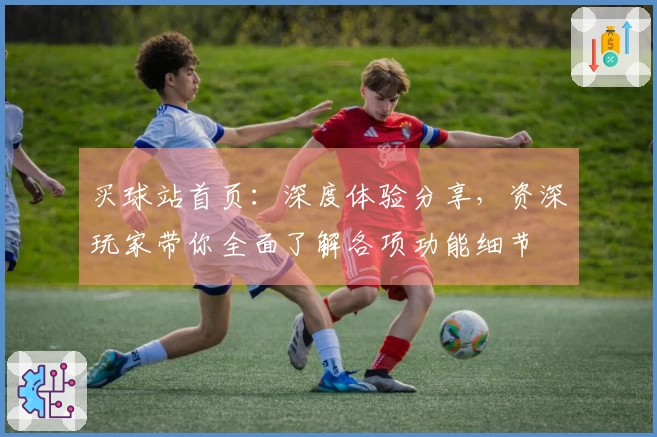 买球站首页：深度体验分享，资深玩家带你全面了解各项功能细节