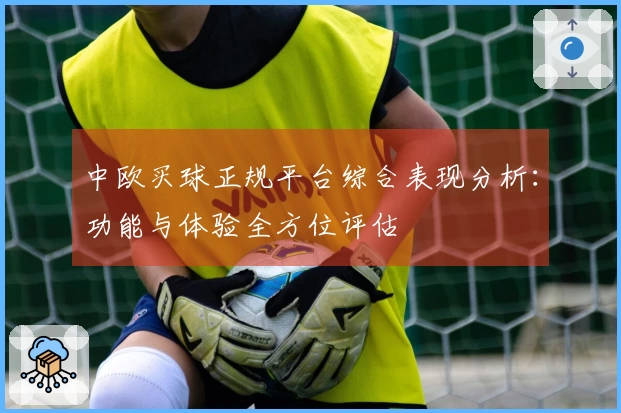 中欧买球正规平台综合表现分析：功能与体验全方位评估