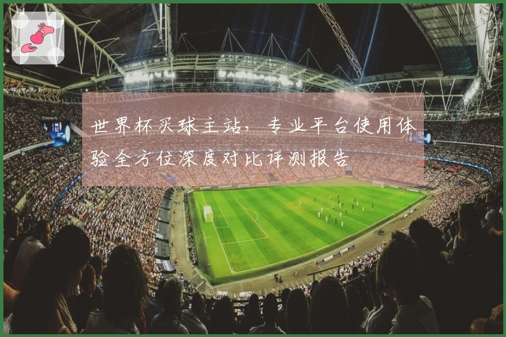 世界杯买球主站，专业平台使用体验全方位深度对比评测报告