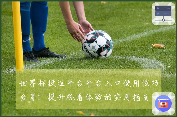 世界杯投注平台平台入口使用技巧分享：提升观看体验的实用指南