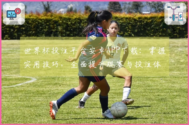 世界杯投注平台安卓APP下载：掌握实用技巧，全面提升观赛与投注体验