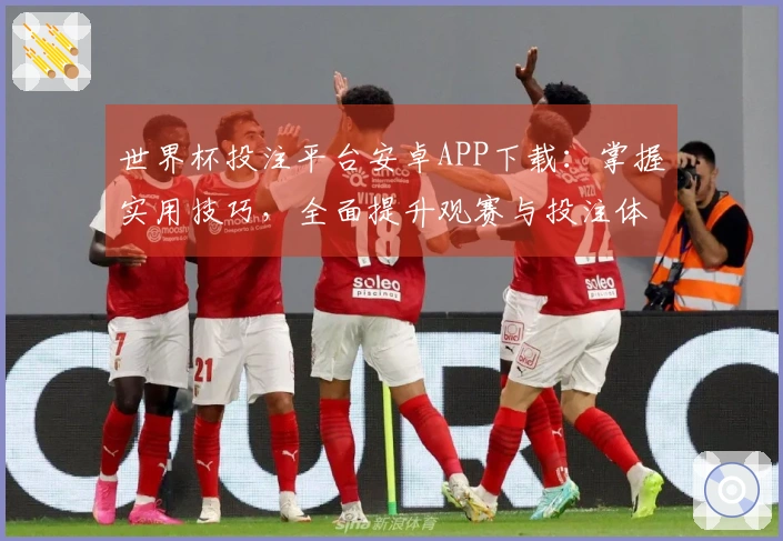 世界杯投注平台安卓APP下载：掌握实用技巧，全面提升观赛与投注体验