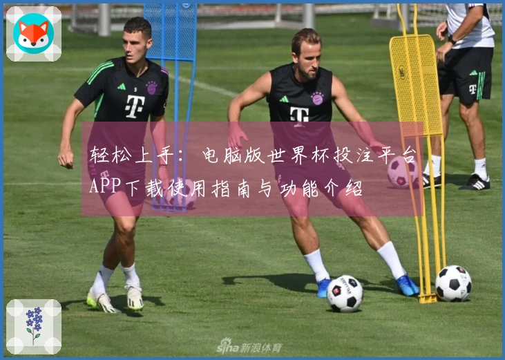 轻松上手：电脑版世界杯投注平台APP下载使用指南与功能介绍