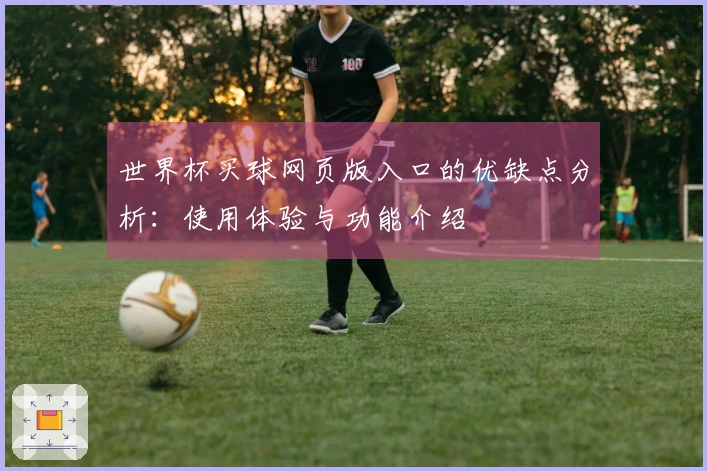 世界杯买球网页版入口的优缺点分析：使用体验与功能介绍