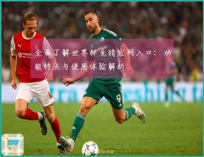 全面了解世界杯竞猜官网入口：功能特点与使用体验解析