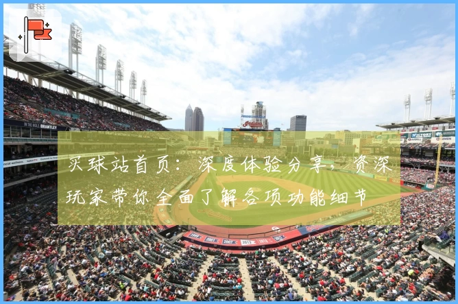 买球站首页：深度体验分享，资深玩家带你全面了解各项功能细节